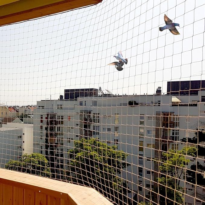 Bird and pigeon safety net installation