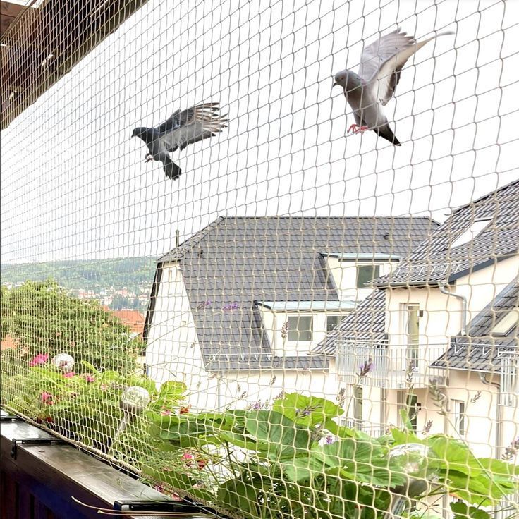 Pigeon prevention netting across a residential balcony