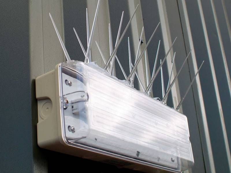 GAARA PIGEON SPIKES installation for pigeon deterrence in HAL, Bengaluru